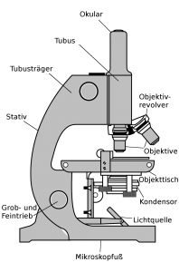Mikroskop Aufbau