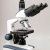 Trinokular Compound Lab Mikroskop