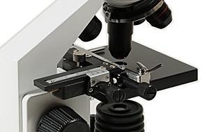 Mikroskop für Kinder kaufen